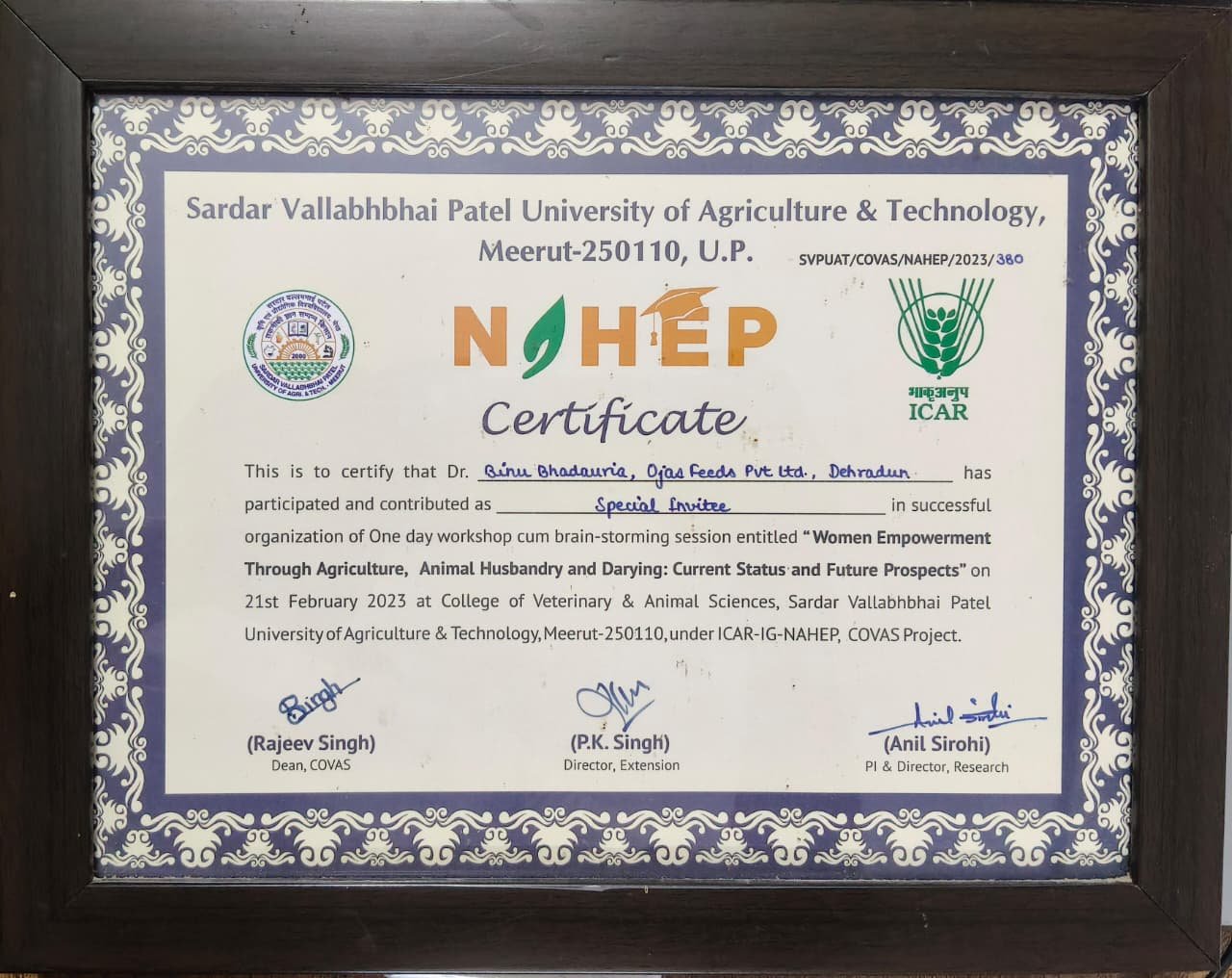 Certificate 8
