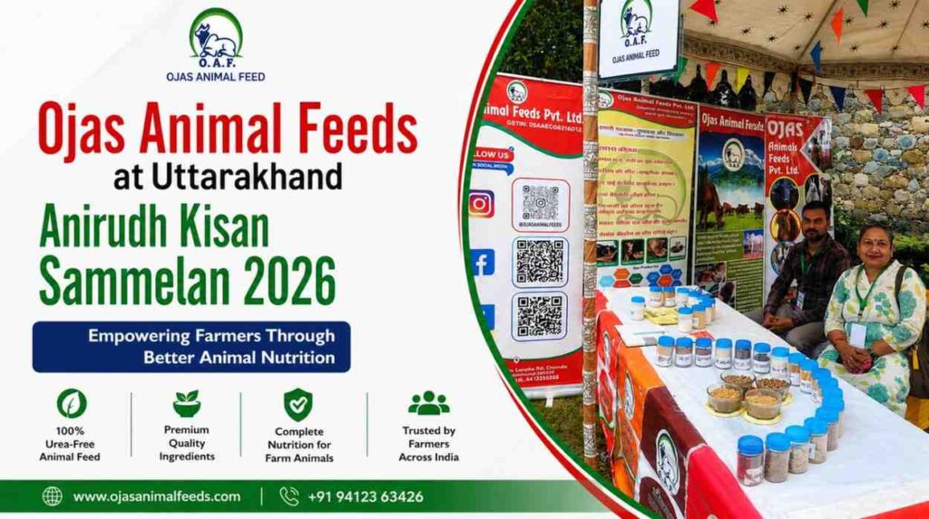 Ojas Animal Feeds promoting healthy livestock farming