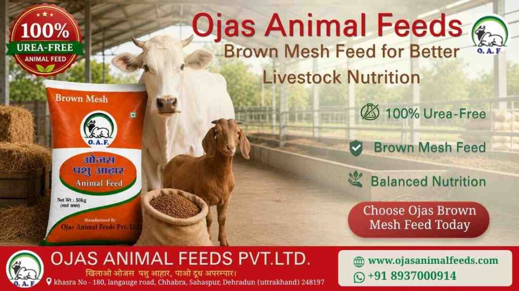 Why Brown Mesh Feed Is Essential for Healthy Livestock Nutrition