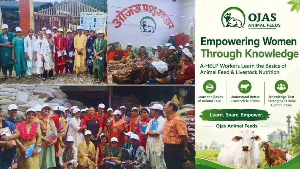 Empowering Women Through Knowledge: A-HELP Workers Visit Ojas Animal Feeds to Learn the Basics of Animal Feed