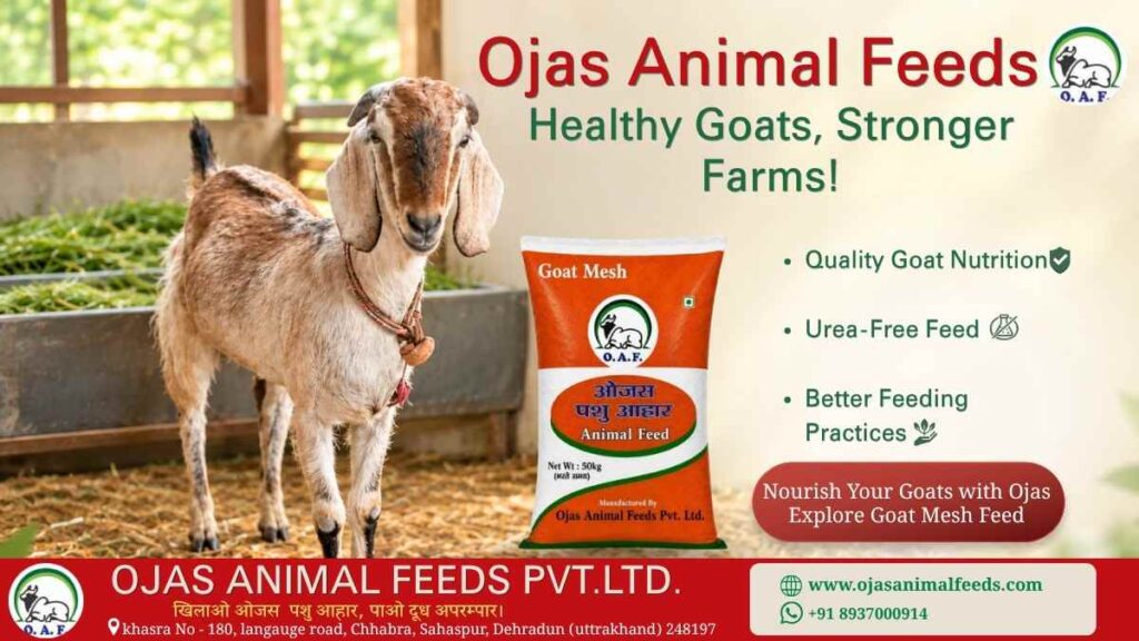 Goat Nutrition: A Guide to Healthy Goats and Stronger Farms