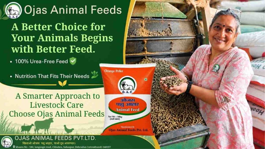 Pellet Feed for Livestock: Benefits and Feeding Tips