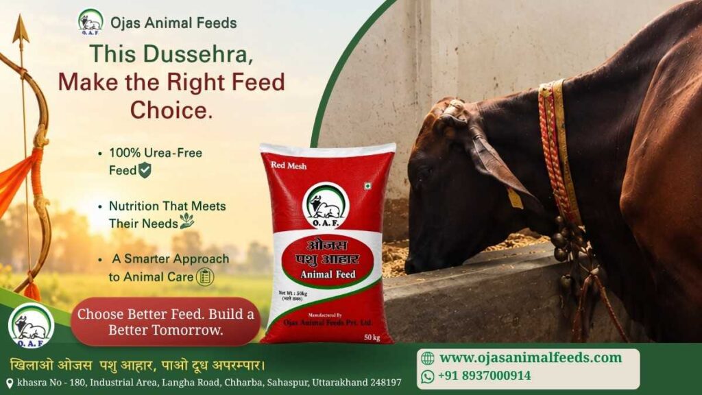 This Dussehra, Choose Quality Animal Feed for Healthier Livestock | Ojas Animal Feeds